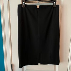 Express Pencil Skirt